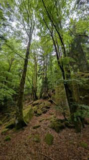 Photo de Richard Schwald le long du parcours