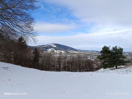 Photo de Meli le long du parcours
