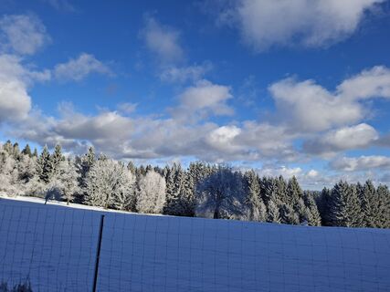 Photo de Roswitha le long du parcours
