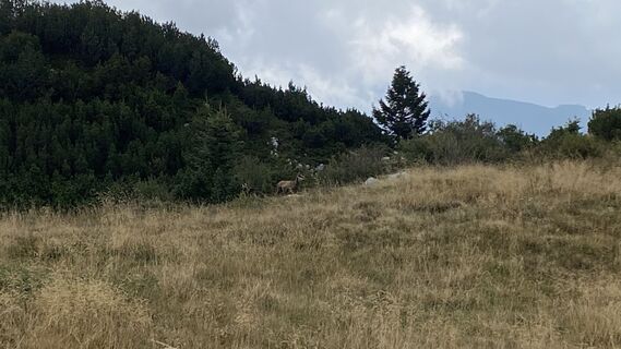Foto von Ma Wa entlang der Tour