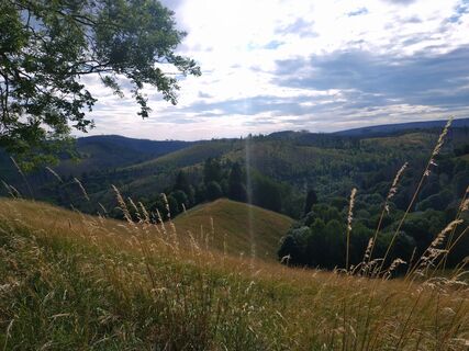 Foto von Mandy Schröter 2 entlang der Tour
