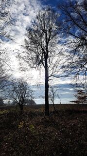 Photo de Anita Lunzer 1 le long du parcours