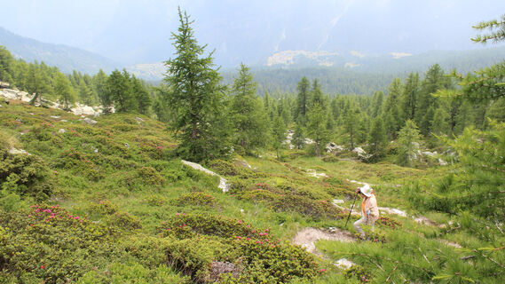 Passo Quadrella