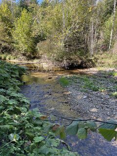 Fotografia z Momo Frank na trase