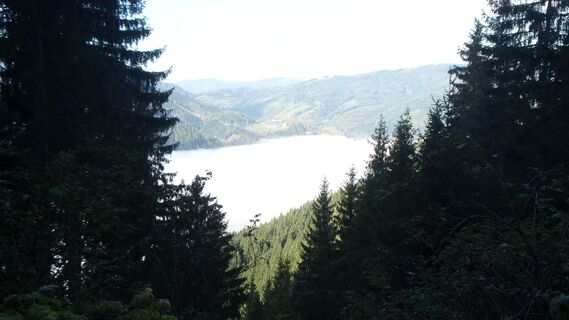 Nabel im Veitschtal
