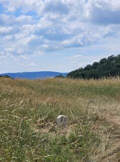 Photo de Florian le long du parcours