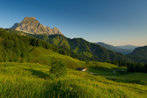 0350-13 ©FranzGERDL _REG-St.Johann 6940.jpg