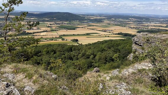 Photo de hob2020 le long du parcours