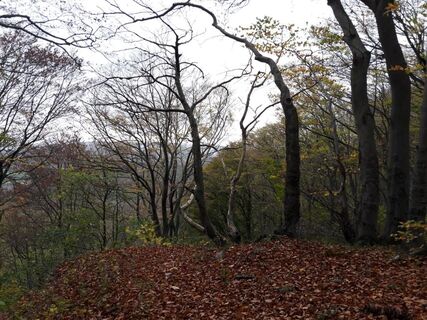 Blick von der Kanzel