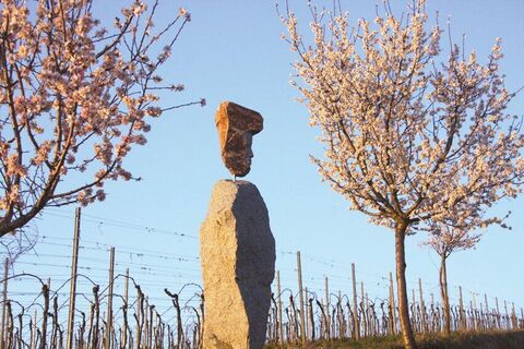 Bluetenweg Geopfad Wein und Stein Maria Zimmermann