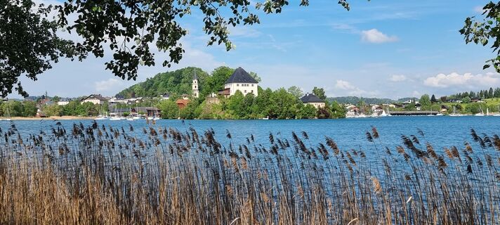 Foto van Helmut Neuhold langs de tour