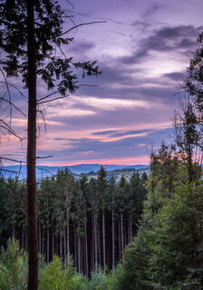 Abendstimmung nahe Rickenbach