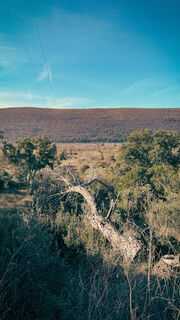 Photo de Neno le long du parcours