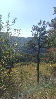 Photo de bidure70 Mitche le long du parcours
