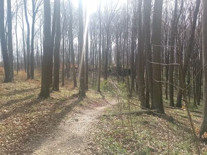 Foto von Paweł Rasztabiga entlang der Tour