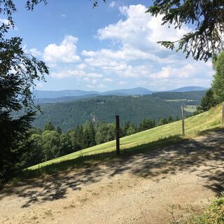 Ausblick