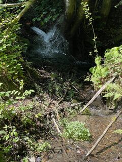 Photo de Josef Lechner le long du parcours