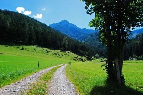 Gippel, „Bergrettungssteig“ (I+) und Hofalm ab/bis Kernhof
