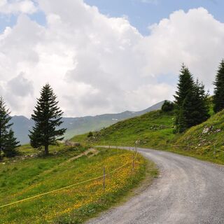 Kurz vor der Alp Panüöl