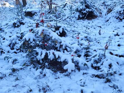 Foto de BergfexxMaxx a lo largo del recorrido