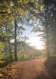 Abendstimmung im Waldprechtstal