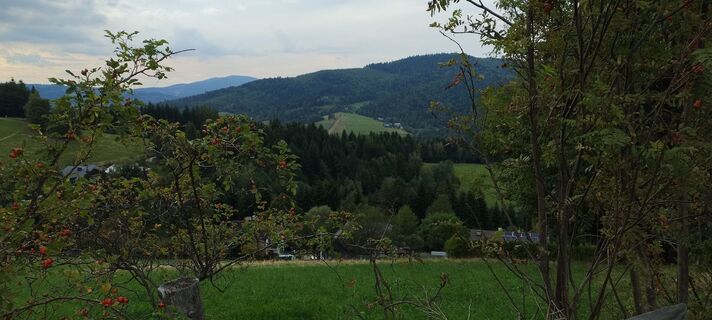 Foto von Sylwiasuchy76 entlang der Tour