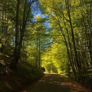 Col de Belleroche