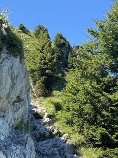 Zdjęcie z Arthur Muskalla wzdłuż trasy