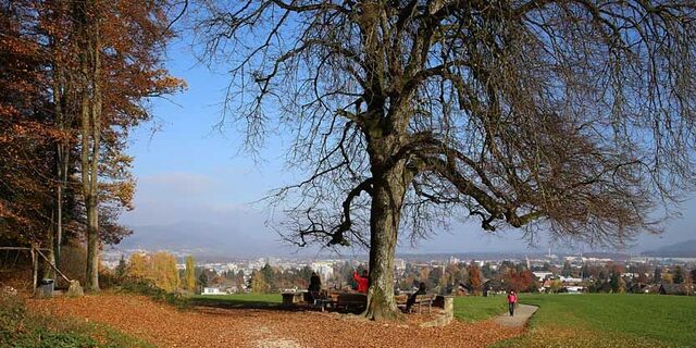 Echolinde Aarau Aussicht