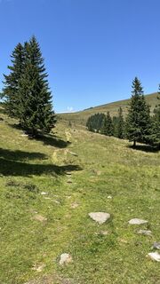 Foto von Mandi_3000 entlang der Tour
