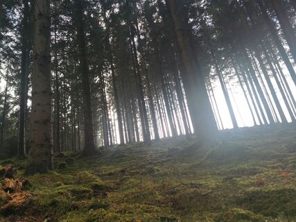 Fotografia z Mela na trase