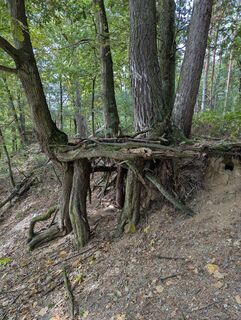 Fotografija s spletne strani Matje Derks na poti