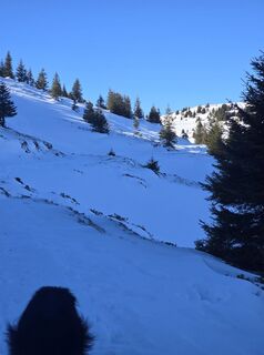 Foto von August Schmölzer entlang der Tour