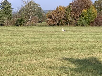 Kuva osoitteesta Melanie Hörzer matkan varrella
