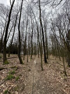 Fotografia z Babs Holz na trase