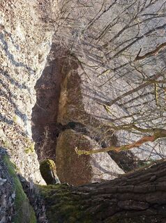 Fotografija s spletne strani Gyöngyi Vályi-Nagy na poti