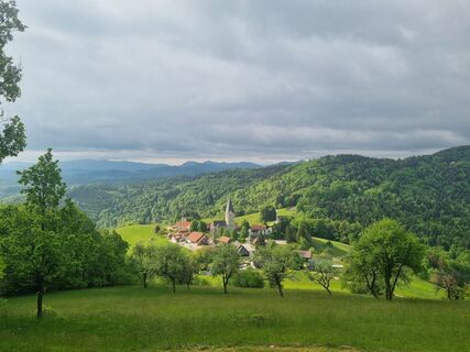 Fotografija s spletne strani Grizli na poti