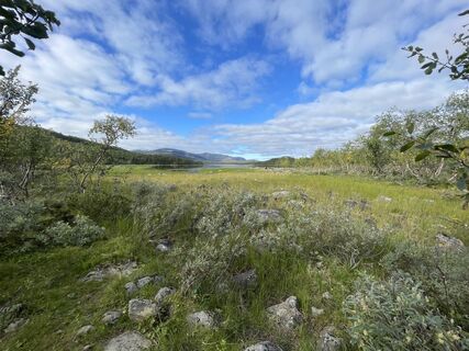 Fotografija s spletne strani Nikolaus Ludwig 1 na poti