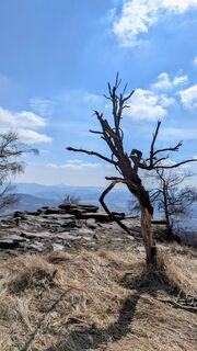 Böhmische Schweiz/ Tschechien: von Snenik zum "Hohen Schneeberg"