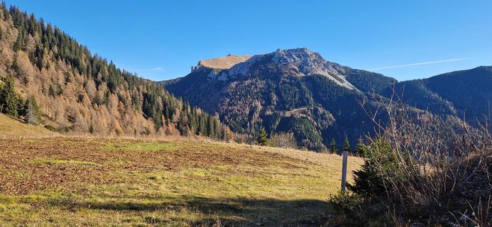 Foto från Gabriele Reiterer under resans gång
