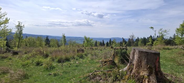 Photo de Karin-Wandert le long du parcours