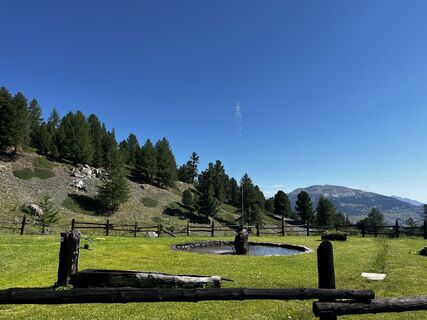 Fotografija s spletne strani Anouck Isambert na poti