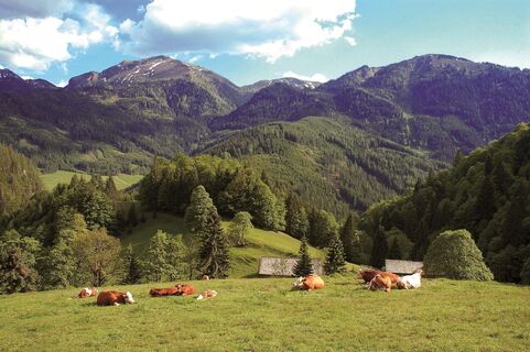 Kölblalm mit Blick zum Leobner