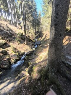 Foto van Ildikó Dávidné Nagy langs de tour