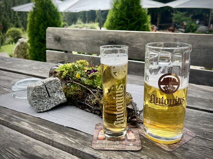 Foto von Daniel Herz entlang der Tour