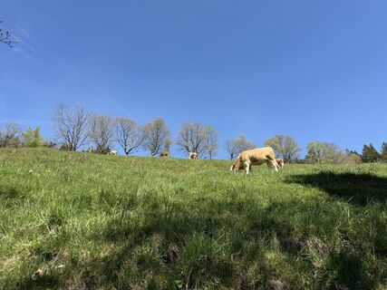 Zdjęcie z Sebastiaan Joustra wzdłuż trasy