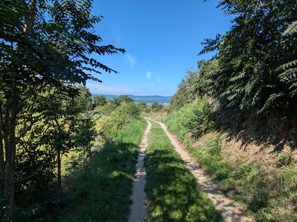 Fotografie z Edero na trase