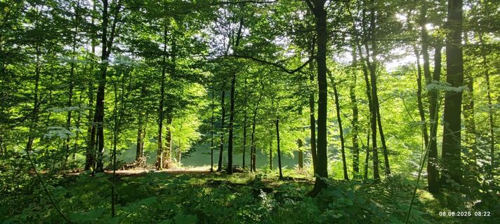 Foto von Marina Fabrizius entlang der Tour