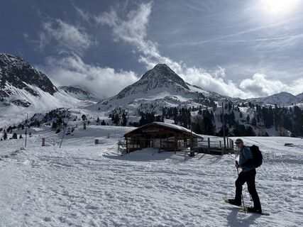 Foto von Grizzli entlang der Tour