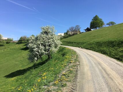 urbani – svetij duh – aller guten dinge sind zwei._img_52325052